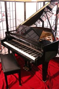 EbonyGlossBabyGrand Hamilton by Baldwin 4'8"(SEE SONNY'S VIDEO)ShowroomCondition