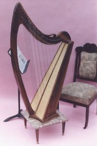 Celtic harp, Woldsong Shawna E, rare paduk wood, concert grade instrument