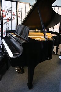 Steinway M 2000 Satin Ebony Grand Piano-Only One Previous Owner, Lightly Played