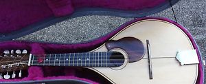 Price Reduced - Handmade Mandolin 8 Strings, beautiful Design with hard case