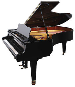 Schimmel 210T Konzert Flügel gebraucht - ein kleiner brillanter Konzertflügel!