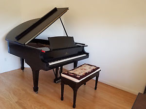 Rare & Immaculate 1921 Steinway & Sons Grand Piano.