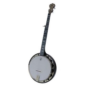 NEW Deering Artisan Goodtime 2 Banjo - Free Gig Bag!