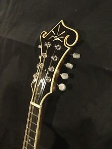 Totally hand built F style mandolin