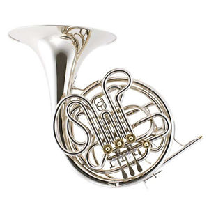 C.G. Conn Professional Model V8D Double French Horn BRAND NEW QuinnTheEskimo