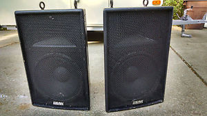 500 Watt Passive Speakers - EAW FR129Z