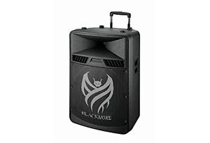 Blackmore BJS-180BT DJ Powered Amplified PA 18" Control