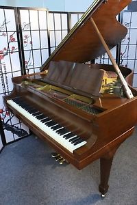 Steinway M 5'7" Mahogany 1929 "Golden Age" Rebuilt /Refinished