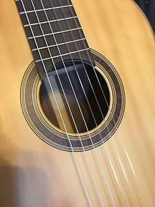 Carl Reichel - Classical Guitar On Steroids -  Deep Bass - Used in CD