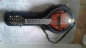 Mandolin , Gold Tone GM-12+ 12-String Acoustic-Electric  , hard case & strap