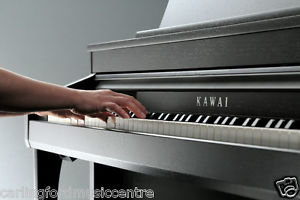 KAWAI Digital Grand like PIANO wood feel CA67 NEW STOOL 5Y Warranty ORDER TODAY!