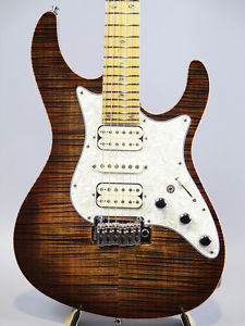 FREEDOM CUSTOM GUITAR RESEARCH: Electric Guitar HYDRA 2point-24F USED