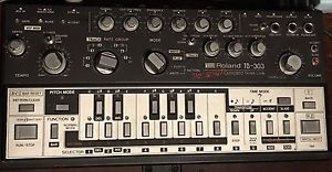Roland Tb 303  The beast Serial #003