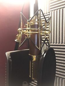 Blue Woodpecker Mic
