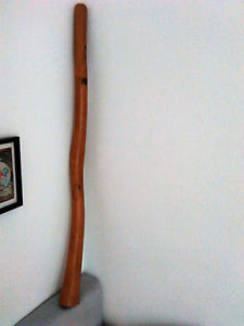 Termiten gefressenes Eukalyptus Didgeridoo Australien