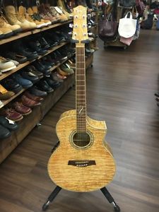 Ibanez EW20ASE NAT w/hard case Free shipping Guiter Bass From JAPAN #F282