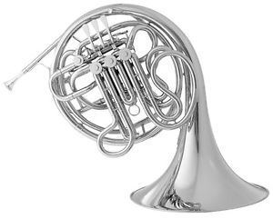 C.G. Conn Professional Model 9D Double French Horn BRAND NEW QuinnTheEskimo