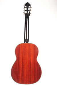 Bernd Holzgruber – 2017 Meistergitarre