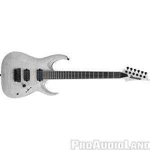 Ibanez RGA Iron Label 6str Elect