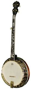 Morgan Monroe MFB-4DX/C Banjo, Gold