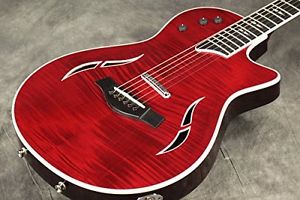 �yOutlet�z Taylor / T5z Pro BRR Taylor Electric Guitar Electric Acoustic Guitar