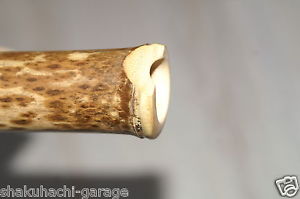 2.0 Hotchiku Root End Flute ZEN-Komuso-Shakuhachi / Bambus Flöte im Jinashi-Stil