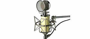Avantone Pro BV-1 Large-Diaphragm Tube Condenser Microphone + Free Shipping!