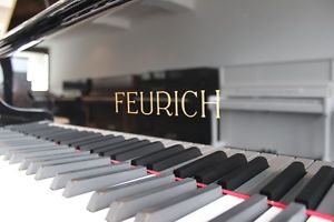 FEURICH Flügel, 178-Professional, NEU, 5 Jahre Garantie