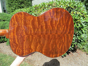 Prs 25th Anniversary Tonare Acoustic European Limited Edition "THE TREE"Mahogany