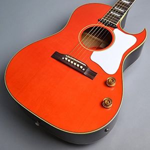 Gibson Acoustic Guitar Tamio Oku