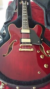 Ibanez AS120 Electric Guitar