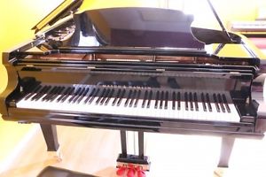 Mason & Hamlin 2011 Grand Piano Model AA 6'4" (SEE SONNY'S VIDEO) $27,000.
