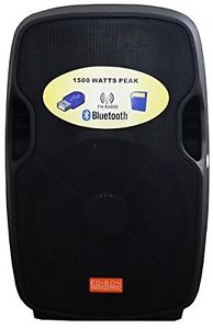 Edison Professional EN-1500 EU Bluetooth Wireless Speaker