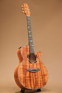 Takamine Dsf46c Custom All Koa W