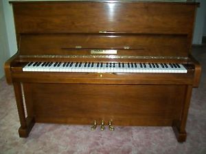 Gorgeous Yong Chang Upright Piano