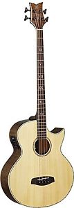 Ortega KTSM-4 Ken Taylor - Basso acustico a 4 corde, custodia imbottita, tracoll