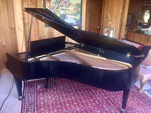 Baldwin Grand Piano SF Model Black Satin 7'