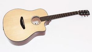 Breedlove Solo Dreadnought Acoustic-Electric Guitar w/ Gigbag