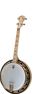 Goodtime 2 TENOR BANJO 17 fret comes with free Deering Gig Bag