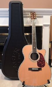 Zager 80CEOM Cutaway !!LOWER PRICE!! Indian Rosewood Hardshell Case Fishman Aura