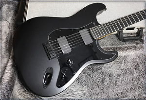 Fender JIM ROOT Stratocaster, Electric guitar, y1036