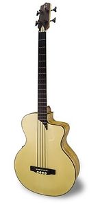 APC Instruments BG300 KOA MX CW Bassi Elettroacustici