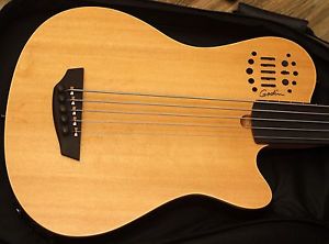 Godin A5 Fretless Acoustic/Electric Bass Guitar with gig bag