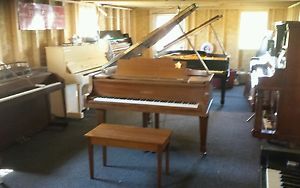 Kawai baby grand pro piano 5' walnut  w free move east USA till 7/6.