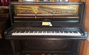 Steinway Victorian Piano Nice tone. HURRY! /FREE DELIVERY/TUNING.SE USA
