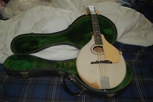 Gibson A3 Mandolin 1919 White Top, Reddish back and sides
