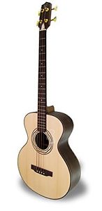 APC Instruments BG300 PSI Bass Chitarra