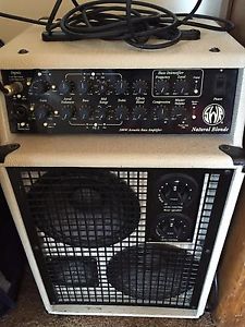 SWR Natural Blonde 200 Watt Acoustic Combo Amp (Bass, Guitar, Violin/Viola,etc)