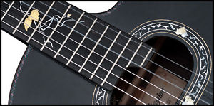 Takamine 2012 Limited Edition Ac
