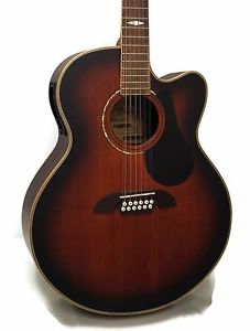 Alvarez PJ311C-12 Professional Series 12-String Jumbo Acoustic-Electric Guitar